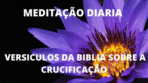 A Crucificação de Zacharias: Uma Meditação Sobre a Dor e o Divino!